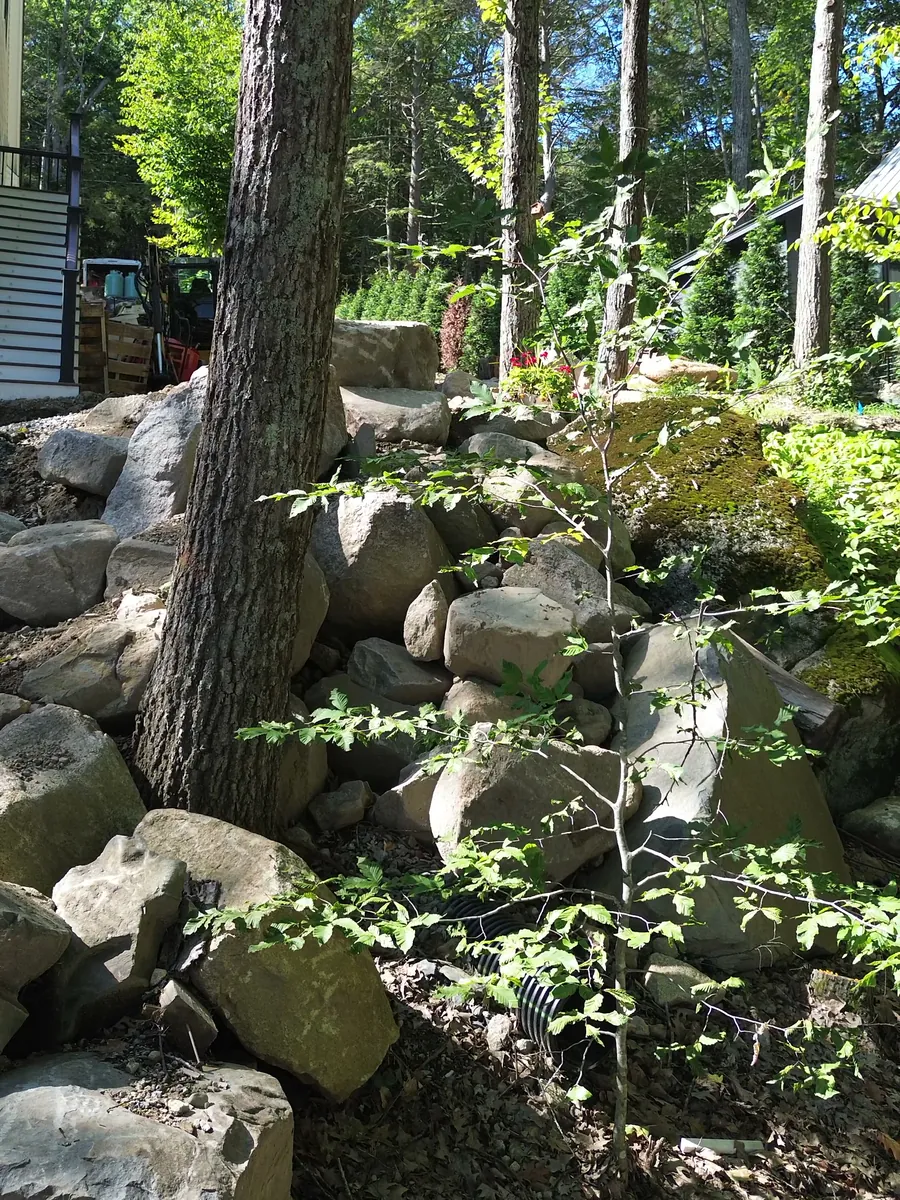 Drone view of boulders set along a wooded slope, built in around the existing trees